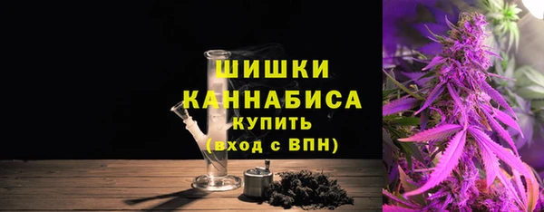 гашик Анива