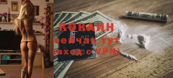 гашик Анива