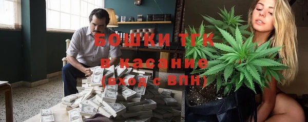 хмурый Верхний Тагил