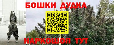 дурь Будённовск