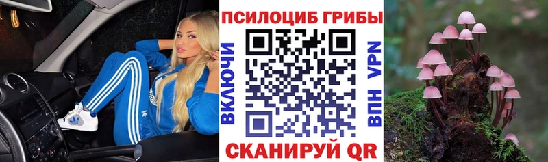 Псилоцибиновые грибы Cubensis  Десногорск 