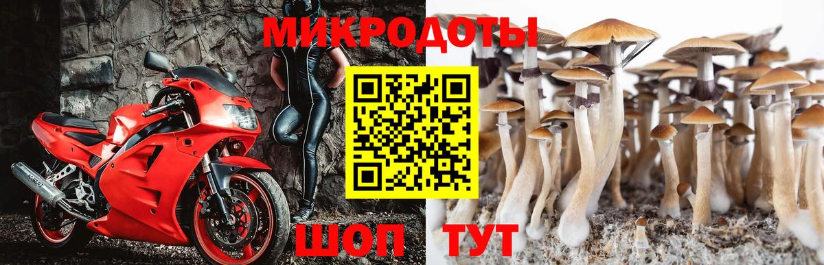 Псилоцибиновые грибы мухоморы Десногорск