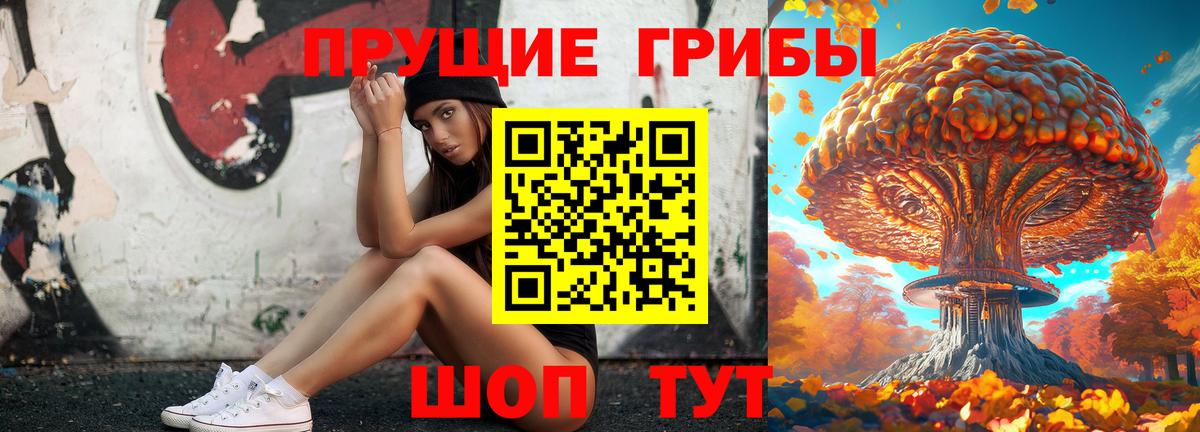 Десногорск  Псилоцибиновые грибы мухоморы  Вход с VPN 